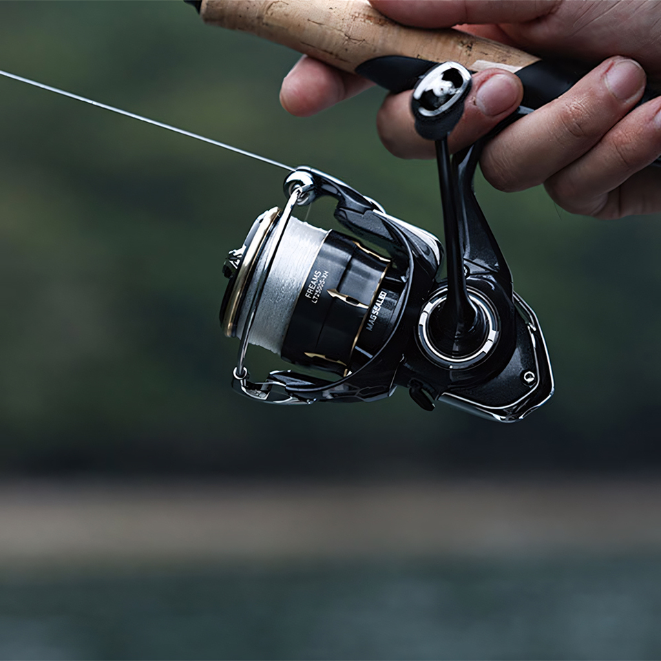 DAIWA 2026 FREAMS Spinnrolle,  – Fishing Equipment Daiwa Bewertung und Preis