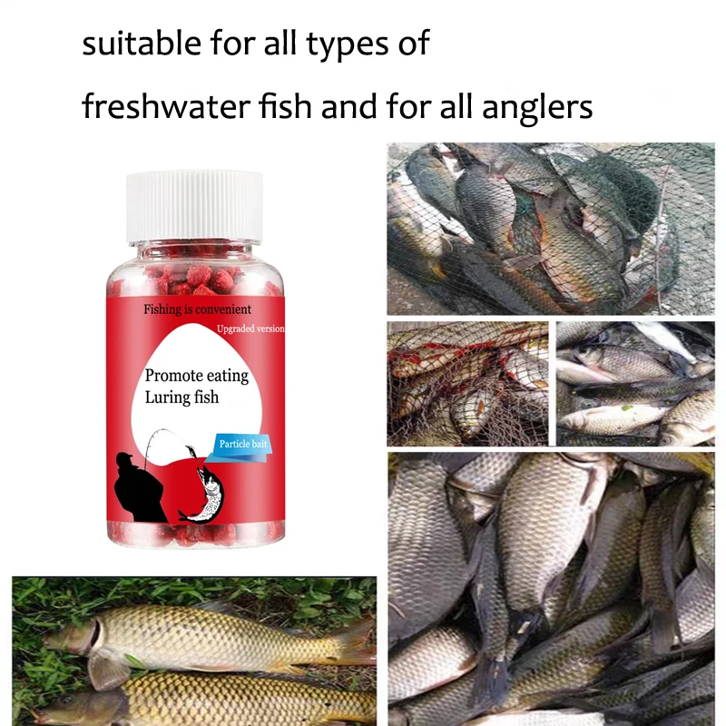 Universeller konzentrierter Kö – Bass Fishing Lure Bewertung und Preis